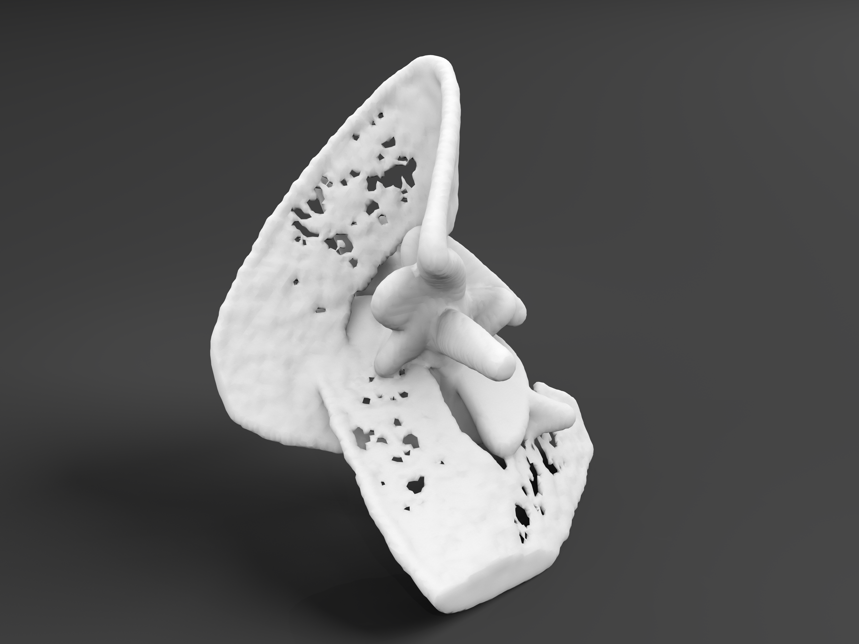 3D rendering: borism identity