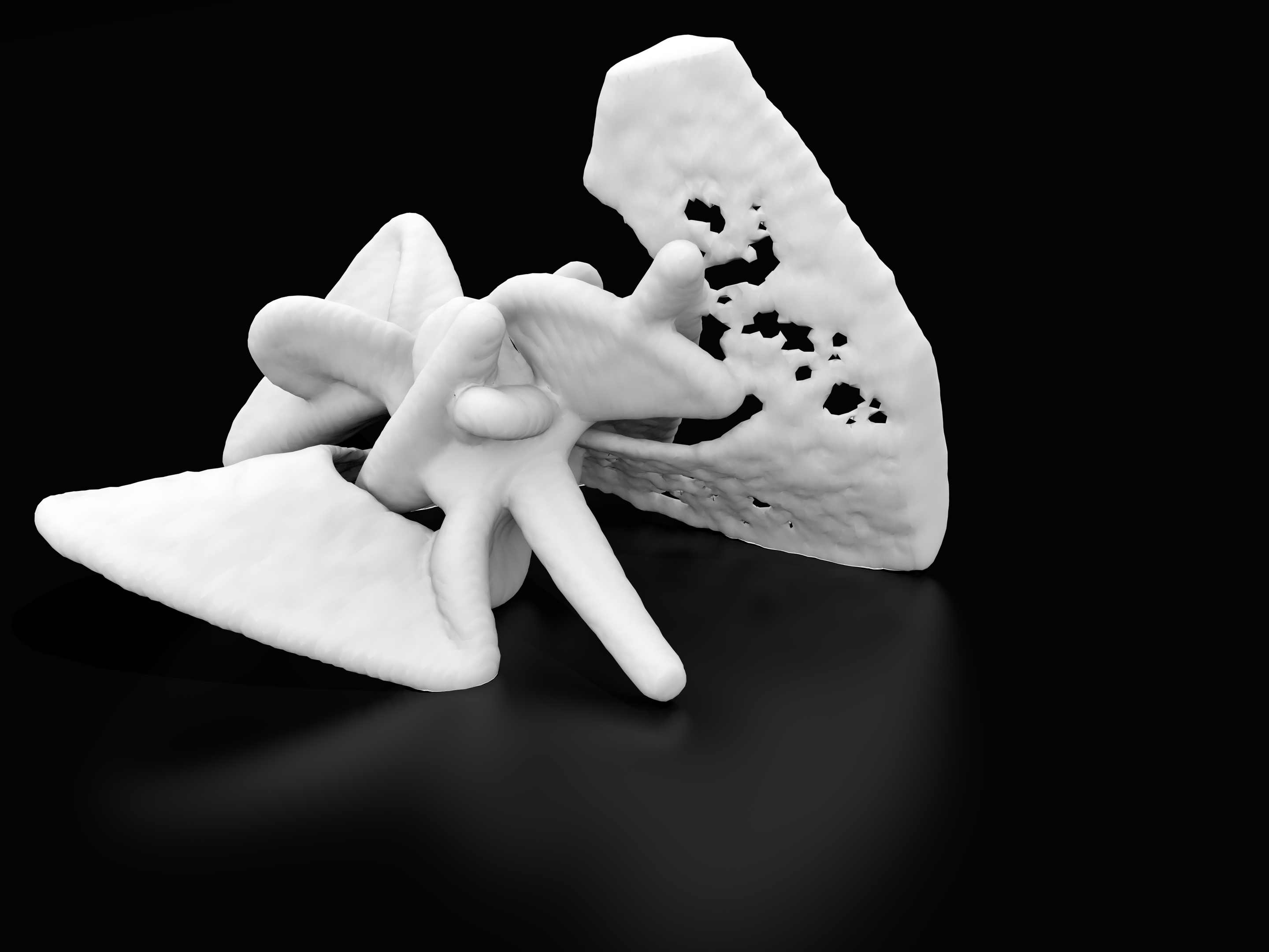 3D rendering: ranzen identity